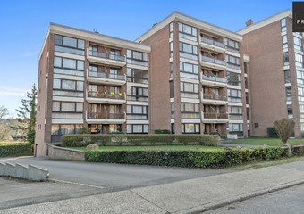 Delphine Alenuslaan 19 bus 11  Diest